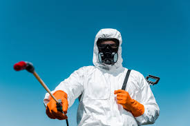 Best Organic or Eco-Friendly Pest Control  in Jericho, NY